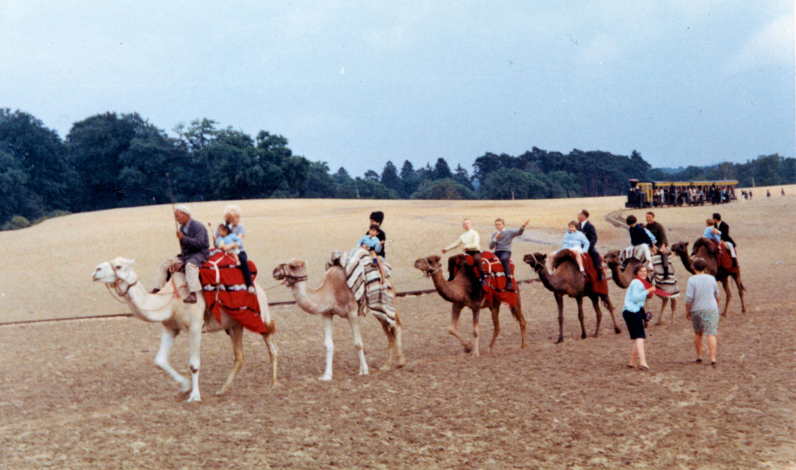Sable Mer Mer de Sable : retour sur 60 ans d'aventures - Dimension Parcs